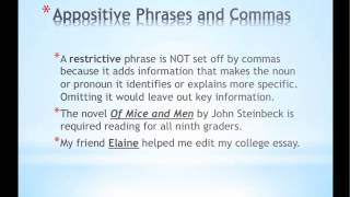 Appositive Phrases [upl. by Edra]