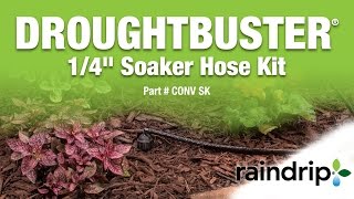 How To Water Your Garden With Soaker amp Emitter Hoses  Beginner’s Guide For Garden Watering [upl. by Ppik139]