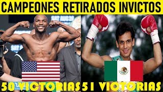 Top 15 Campeones de Boxeo Que Se Retiraron Invictos [upl. by Brebner725]