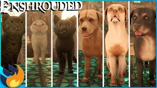 ALL 6 Cat amp Dog Varieties QUICK amp EASY  Where To Find Them In Enshrouded [upl. by Llerehs500]