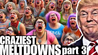 BEST MELTDOWNS after Donald Trumps victory [upl. by Eniretak523]