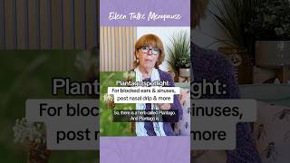 Plantago spotlight For blocked ears amp sinuses post nasal drip amp more herbalremedies [upl. by Suidaht]