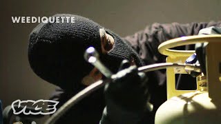 Making Weed Concentrates in an Underground Lab  WEEDIQUETTE [upl. by Iaka]