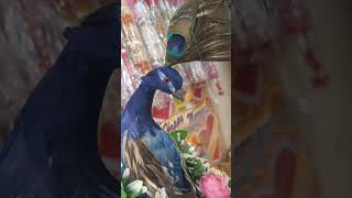 wedding car decoration moor mitthu mitthu [upl. by Ettennyl476]