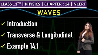 Class 11th Physics  Waves  Transverse amp Longitudinal Waves  Example 141  Chapter 14  NCERT [upl. by Danuloff]