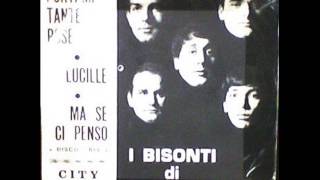 I Bisonti di Bruno Castiglia  Portami tante rose [upl. by Klarika]