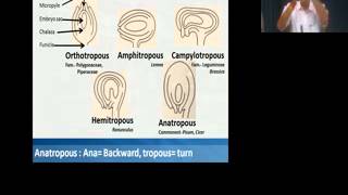 Botany BSc Flower System PistilOvules amp Megasporogenesis by Dr Ajay Kumar Bharadwaj on 260315 [upl. by Coleen]