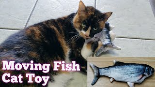 Moving Fish Cat Toy Review  Does it Work [upl. by Rowney]