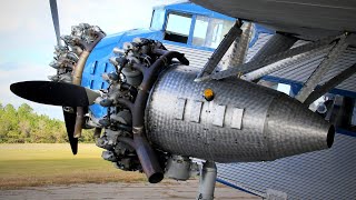 Old RADIAL ENGINES Cold Starting Up and Loud Sound 9 [upl. by Niai828]