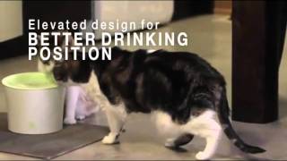 Catit Design Fresh amp Clear Cat Drinking Fountain [upl. by Jeremias245]