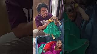 Shararti kutte comedy funny dog funnydogs doglover comedyfilms comedymovies [upl. by Akkeber438]