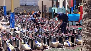 Ricasas Vertical Mascletà is Going VIRAL  Craziest Firework Weve Ever Seen Benissa 2022 [upl. by Flo]