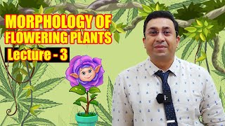 Morphology of Flowering Plants l lecture 3 l Biology l NEET [upl. by Anoed]