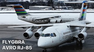 FLYGBRA AVRO RJ85 SEDJO ARRIVING AT INNSBRUCK [upl. by Sibby]