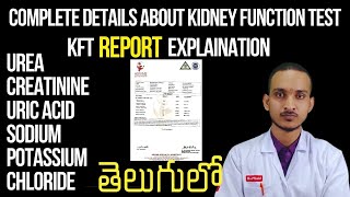 Kidney Function Test In Telugu  KFT Report Explanation In Telugu  RFT  akhilmlt [upl. by Kalmick]