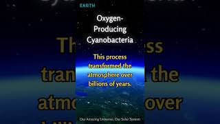 Earth OxygenProducing Cyanobacteria [upl. by Animsaj]