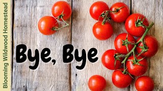 Tomato Shortage  What You NEED To Know [upl. by Etaner]