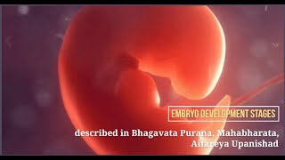 Embryo development stages described in Bhagavatam Mahabharata Aitareya Upanishad embryogenesis [upl. by Annoyt]