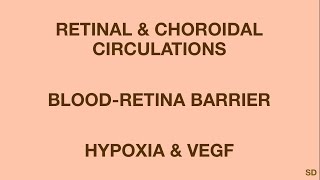 Retina Session 05 Retinal and Choroidal Circulations [upl. by Seluj]