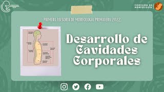 quotDesarrollo de Cavidades Corporalesquot [upl. by Atsirt848]