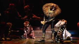 Cats  The Rum Tum Tugger [upl. by Grizelda]