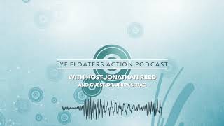 Episode 2  Hope Happiness and Action with Dr Sebag Eye Floaters Action Podcast [upl. by Nedrah]