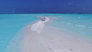 Ce am filmat in Maldive cu drona [upl. by Dinnie623]