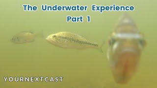 The Underwater Experience  Part ONE [upl. by Ynaffat]