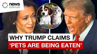 Why Donald Trump thinks immigrants are eating cats and dogs [upl. by Mun]