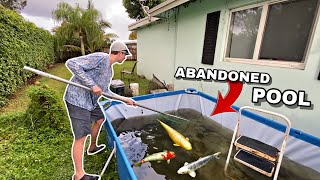 Saving Fish from Abandoned Pool Pond [upl. by Nero]