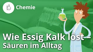 Wie Essig Kalk löst Säuren im Alltag – Chemie  Duden Learnattack [upl. by Eicnan973]