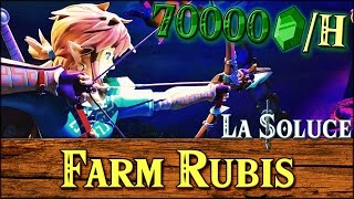 FARM RUBIS 70000 PAR HEURE  ASTUCE  ZELDA BOTW [upl. by Ahsekim]