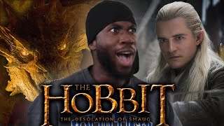 the dragon TALKS  the HOBBIT THE DESOLATION OF SMAUG REACTION [upl. by Ainar]