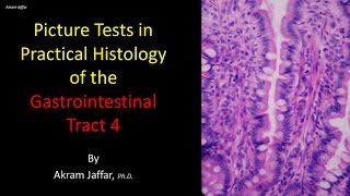 Picture tests in histology of the gastrointestinal system 4 [upl. by Schultz]