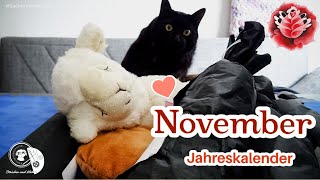 Jahreskalender November  Sockenwolle  Maschenschäfchen [upl. by Daryl]