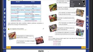 French Class 7 Chapter 6 On Fait des Courses irregular verbs contracted articles explanation [upl. by Aehs]