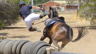 Horse Falls Compilation  Epic Equestrian Falls and Fails  Best Bad Horse Riding and Pony Fails [upl. by Lamhaj861]