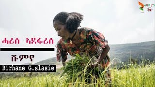 Shumye Gebreslase  Harise  ሓሪሰ ኣደፋሪሰ  old Tigrigna Music 2020 [upl. by Alford]