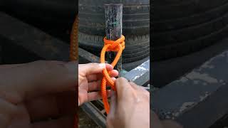 Double Clove hitchVery strong hitchTying rope knot 193 [upl. by Eissej]