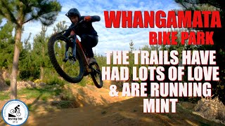 Whangamata bike park The trails have had lots of love amp are running mint [upl. by Atinus]