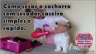 Como secar o cachorro com secador caseiro de modo simples e rápido [upl. by Marino770]