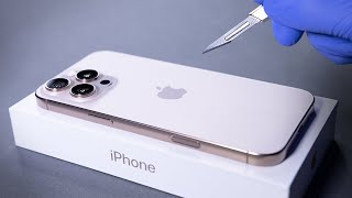 iPhone 16 Pro Max Unboxing and Camera Test  ASMR [upl. by Nassah]