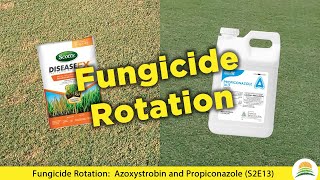 Fungicide Rotation Azoxystrobin and Propiconazole ☀️ S2E13 [upl. by Luo]