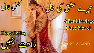 After Marriage Cute Story quotTere Ishq Ki Bailquot by Rahat Jabeen NOVELSLAND novel [upl. by Christy]