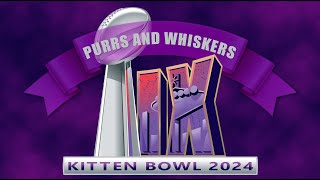 Purrs and Whiskers Kitten Bowl IX 2024 [upl. by Lorelei]