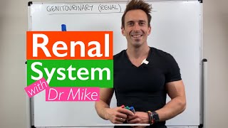 Renal System  Overview [upl. by Lareneg]