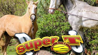 Grupo Super T  La Cumbia de los Caballos [upl. by Notlit]