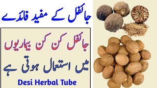 Jaiphal Benefits  Jaiphal Ke Fayde  Nutmeg Benefits In Urdu  Jaifal Ke Fayde [upl. by Nais930]