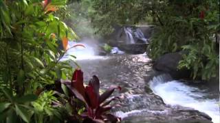 Discover Costa Rica [upl. by Attenauqa]