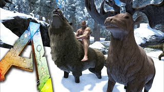 Ark Survival Evolved Ep21  TAKE SHELTER  DireWolf Megaloceros Taming Snow Biome Storms [upl. by Hayley494]